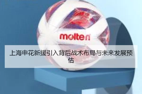 上海申花新援引入背后战术布局与未来发展预估